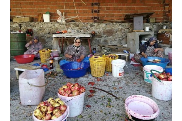 ALİAĞA’NIN BEREKET TOPLAYAN KÖYÜ ‘ÇITAK’