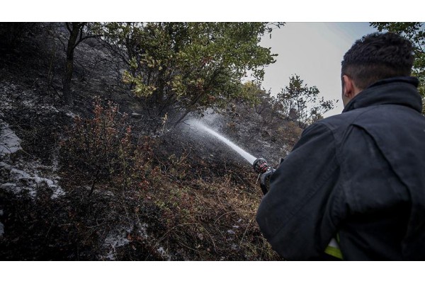 ORMAN YANGINLARINA KARŞI 'GÖNÜLLÜLER' ARANIYOR