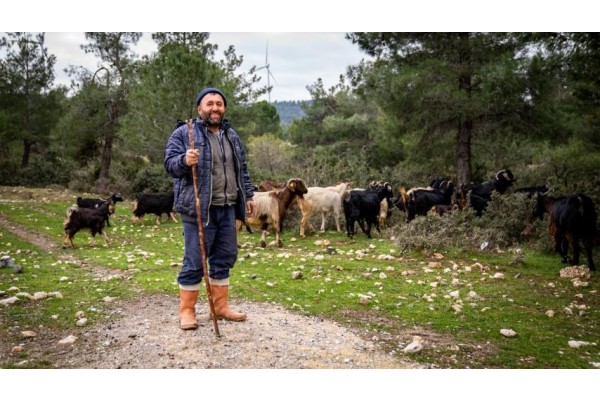 Çoban Start-Up dönemi başlıyor