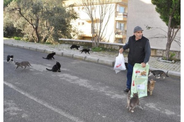 YALI MAHALLESİ’NİN KEDİLERİ ONA EMANET