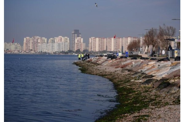 Tsunami tehlikesi var!