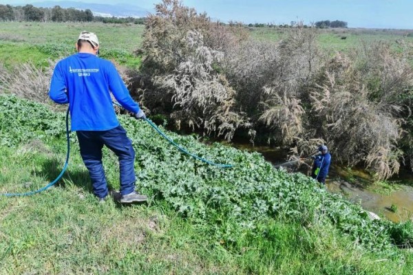 İlaçlama çalışmaları hızlandırıldı