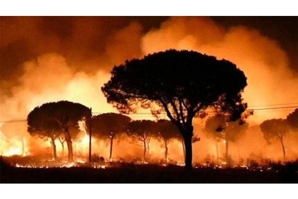 ORMAN YANGINLARINA MÜDAHALEDE TEDBİRLER ARTIYOR