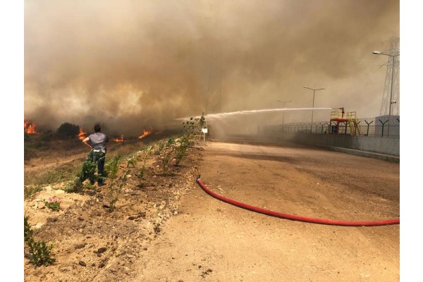 NEMRUT KÖRFEZİ’NDE YANGIN