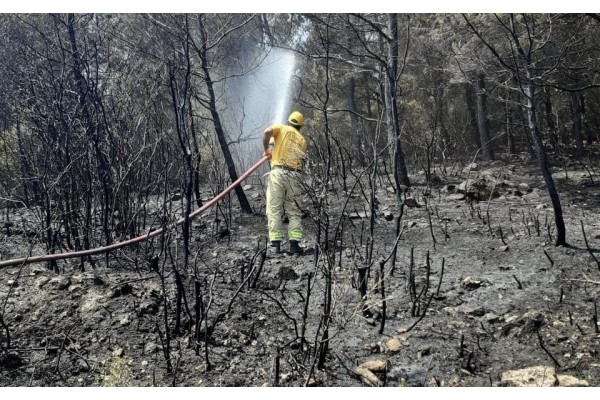 ORMAN YANGINI İKİ SAATTE SÖNDÜRÜLDÜ