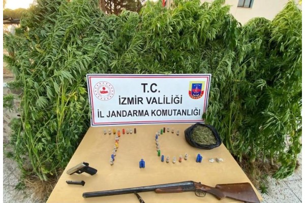 UYUŞTURUCU OPERASYONLARINDA 12 ZANLI TUTUKLANDI