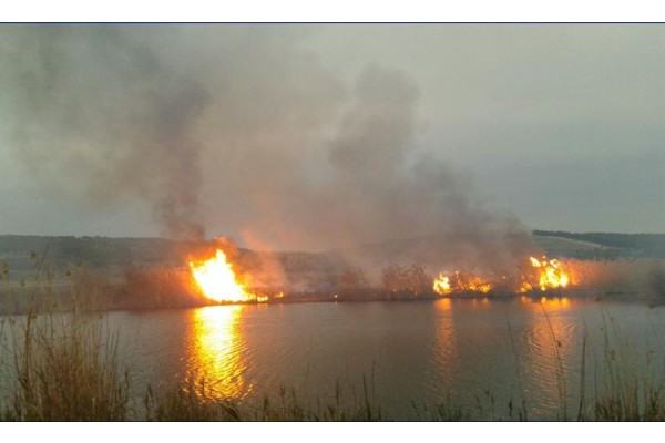 SAZLIK ALANDA YANGIN