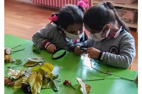 Çocuklar doğanın renklerini tanıyor