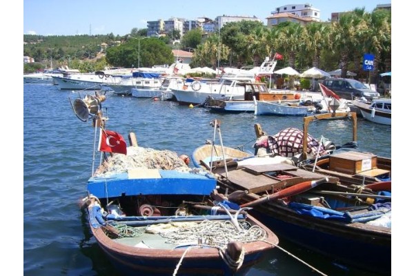 AMATÖR DENİZCİLİK EĞİTİMİ VE SINAVI YAPILACAK