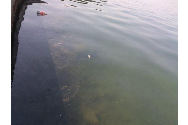 SAHİLDEKİ KİRLİLİK GÖRMEZDEN GELİNİYOR