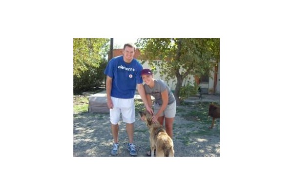 Sokak hayvanları barınağına ABD'li ziyaretçi