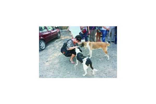 4 EKİM DÜNYA HAYVAN HAKLARI GÜNÜ KUTLANDI