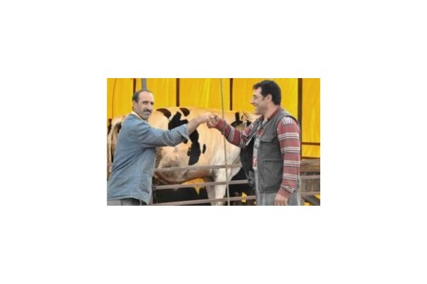 Kurbanlıklara ilgi az