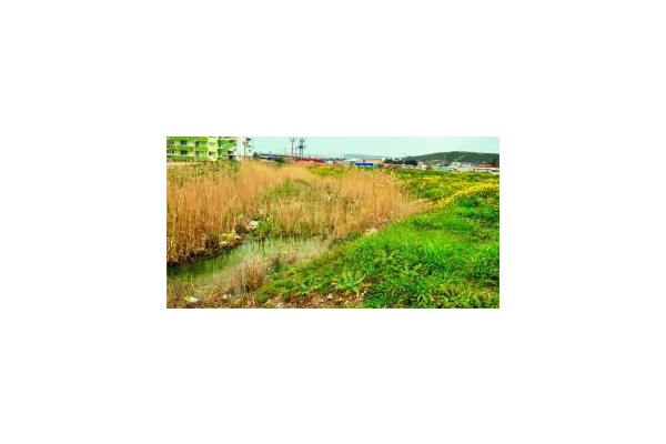 BATAKLIK YAŞAM ALANINA DÖNÜŞTÜ