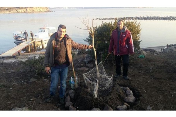 TAVŞAN ADASI'NA AĞAÇ DİKTİLER