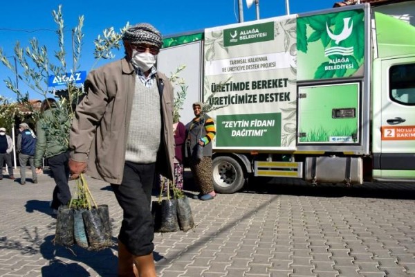 ZEYTİN FİDANLARI ÜRETİCİYLE BULUŞTU