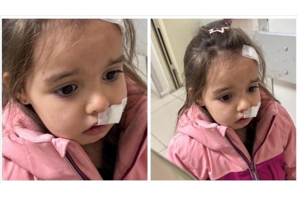 AVM’deki sahipsiz köpek 3 yaşındaki çocuğa saldırdı