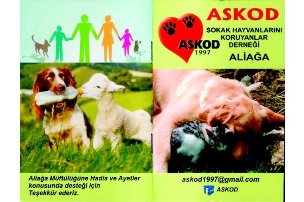 ASKOD'TAN ÖRNEK PROJE