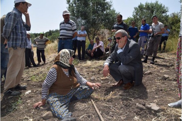 84 YAŞINDAKİ ZEYNEP NİNE: "ZEYTİN AĞAÇLARINI KESTİRMEM"
