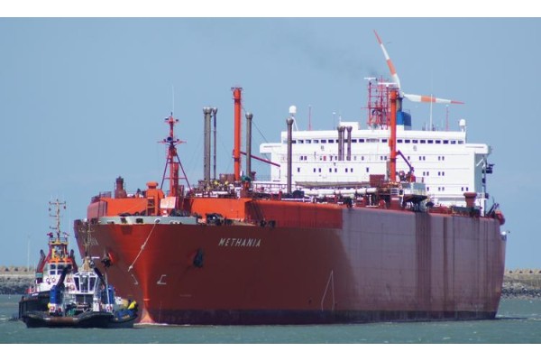 ALİAĞA'DA İKİNCİ ‘KUITO’ VAKASI MI?