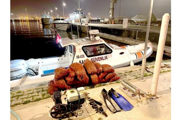 Kaçak midye avcılığı yapan 2 kişi yakalandı