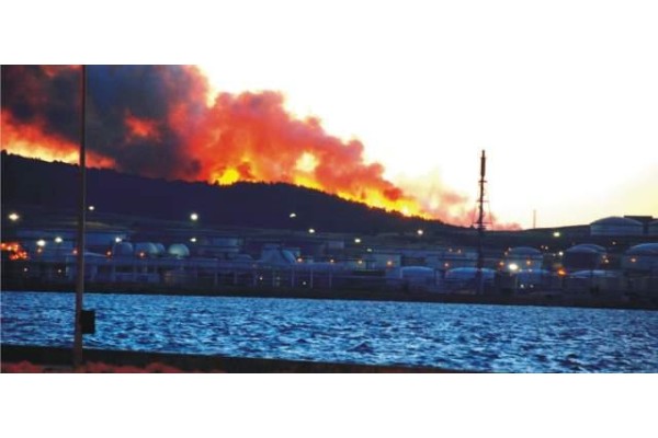 PETKİM’DEKİ ORMAN YANGIN KORKUTTU