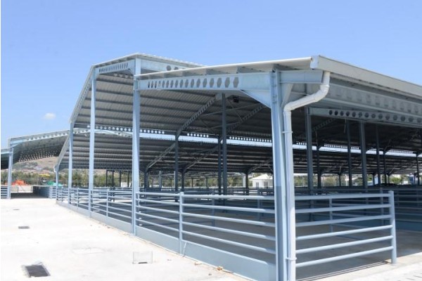 MODERN HAYVAN PAZARI AÇILIYOR