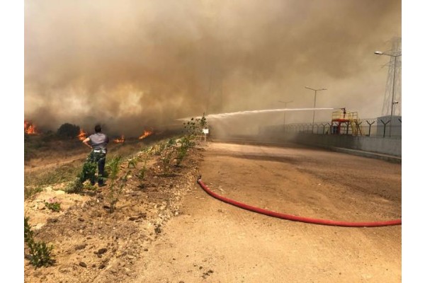 YANGINDA 370 DÖNÜM ALAN ZARAR GÖRDÜ