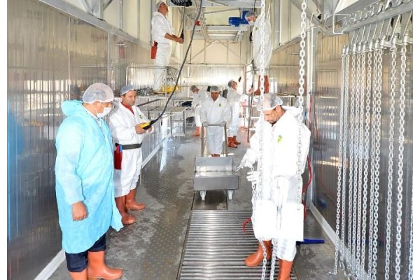 7 İLÇEDE SEYYAR MEZBAHA