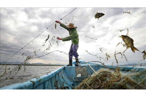 Yasaklara uymayan balıkçılara göz açtırılmayacak