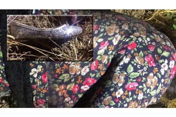 ŞAKRAN’DAKİ KADIN CESEDİNİN KİMLİĞİ ÇÖZÜLÜYOR