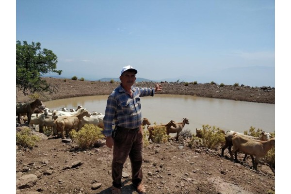 BÜYÜKŞEHİR’DEN “YAŞAM VAHALARI”