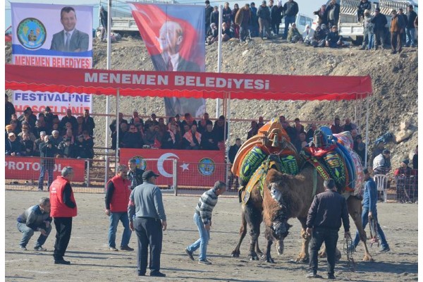 MENEMEN DEVE GÜREŞİ’NDEN RENKLİ GÖRÜNTÜLER…