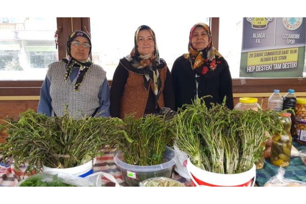 YOLU GÖZLENEN SARMAŞIK, KÖYLÜ PAZARINDA