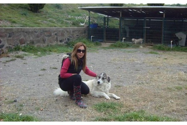 YENİ YÖNETİM BARINAKTA İYİLEŞTİRME İSTEDİ