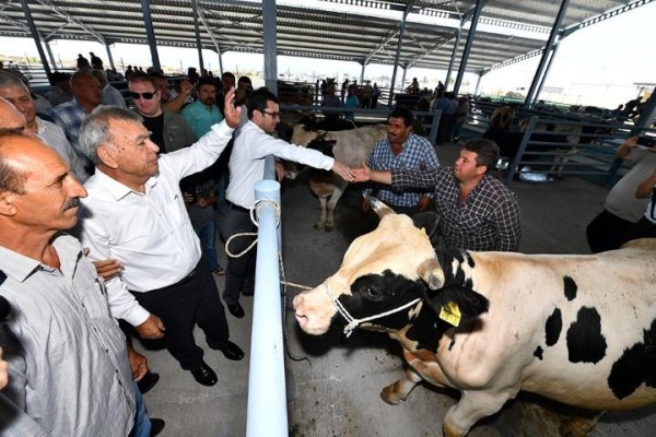 BAKIRÇAY'IN EN BÜYÜĞÜ