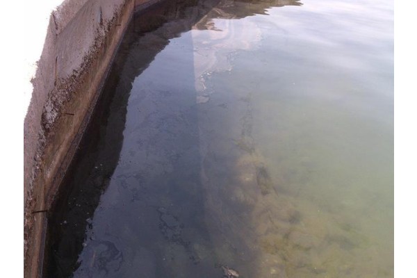 ALÇEP’TEN DENİZ KİRLİLİĞİ TEPKİSİ