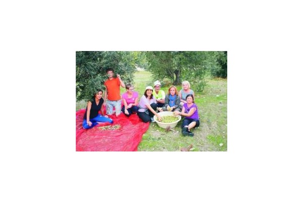 Afacan Gençlik Evi kendi zeytinini kendi üretiyor