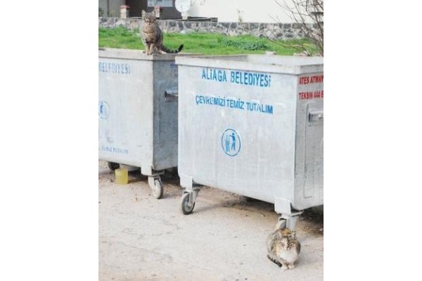 SOĞUK HAVA EN ÇOK ONLARI VURUYOR