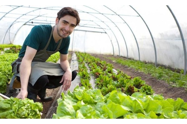 UZMAN ELLER PROJE BİLGİLENDİRİLMESİ YAPILACAK