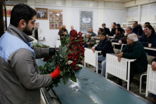 SEVGİLİYE "KENYA GÜLÜ"