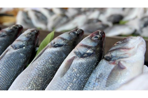 SU ÜRÜNLERİ İHRACATI YENİ YILA HIZLI BAŞLADI