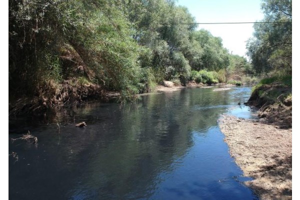 BAKANLIK GEDİZ NEHRİ İÇİN HAREKETE GEÇTİ
