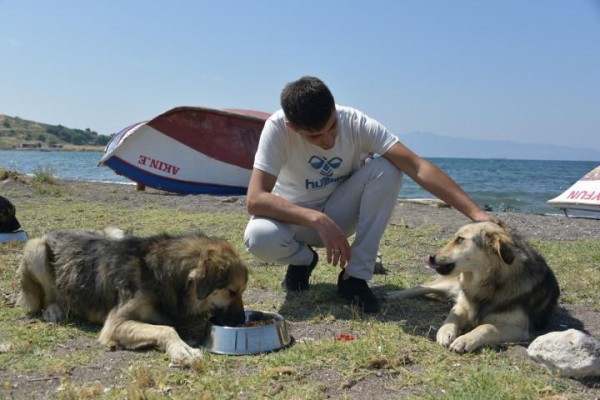 SOKAK HAYVANLARINA MAMA VE SU DESTEĞİ