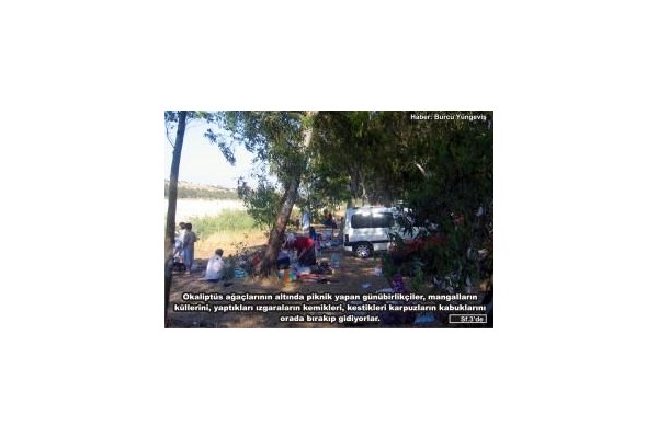 İzmir’in günübirlikçileri ‘Aliağa’ diyor