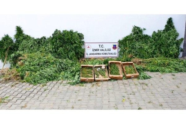 UYUŞTURUCU OPERASYONUNDA 12 ZANLI YAKALANDI