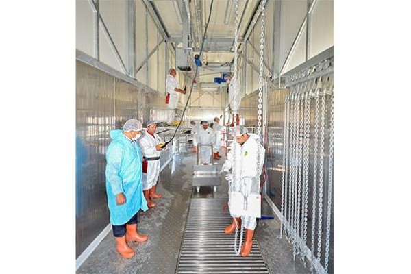 Büyükşehir Kurban Bayramı’na hazır