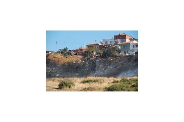 Örnekkent'te kuru otlar tutuştu