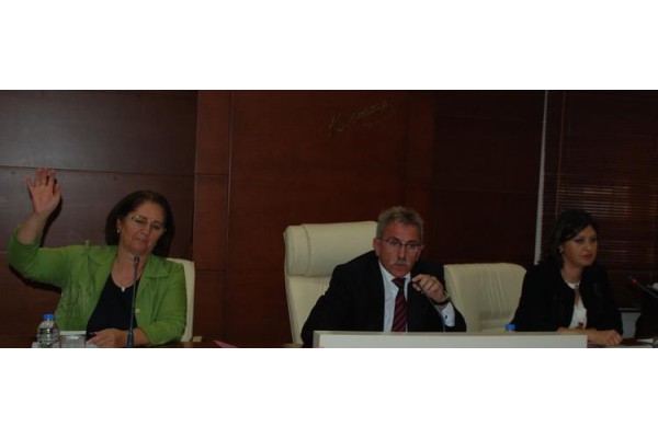 YİNE BORÇLANMA, YİNE RED