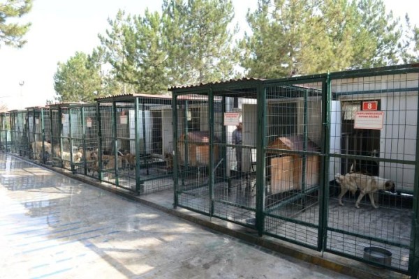 HAYVAN BARINAĞI PROJESİ İHALEYE ÇIKIYOR